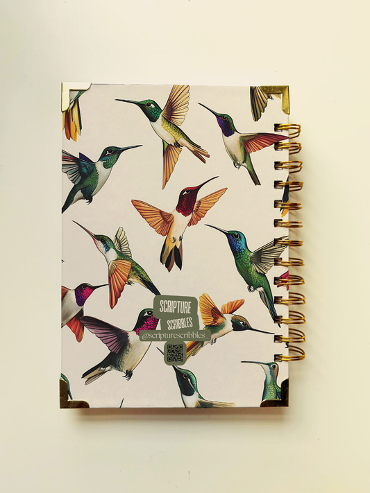 Seek First Hummingbird