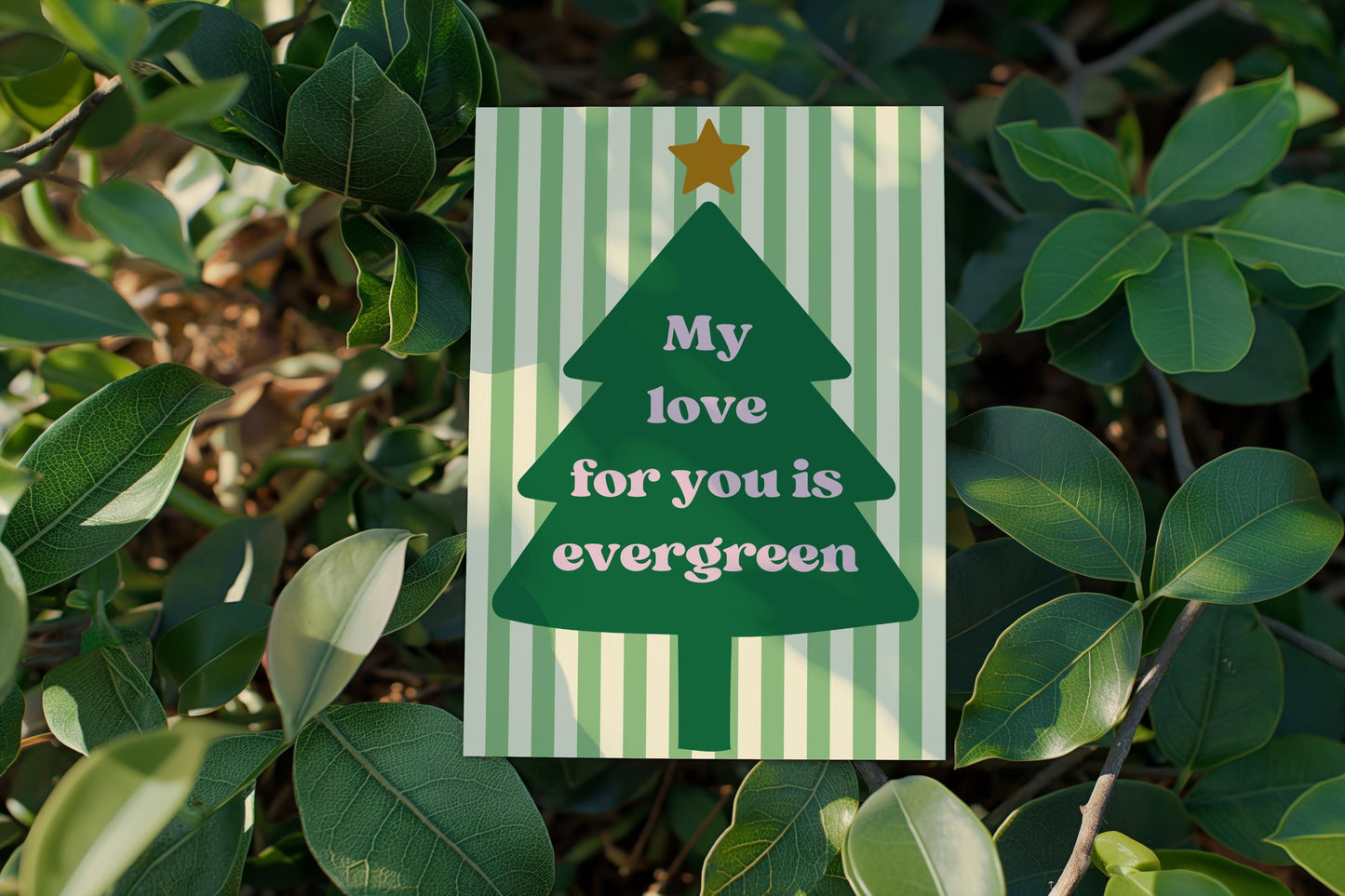 Romantic Christmas Card  Rustic Tree Card for Couples Evergreen Love Christmas Card A6 Holiday Greeting xmas card for him xmas card for her